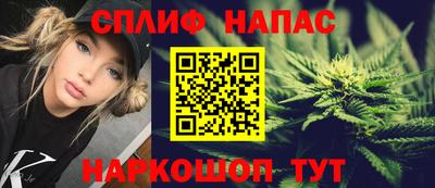 стаф Бузулук