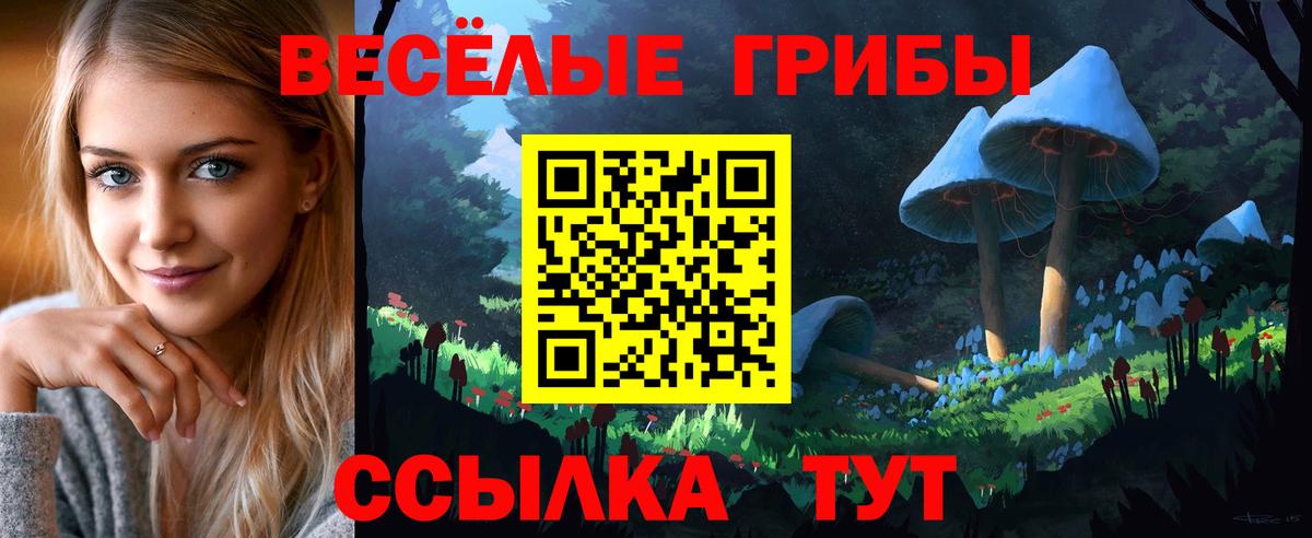 Галлюциногенные грибы ЛСД Родники
